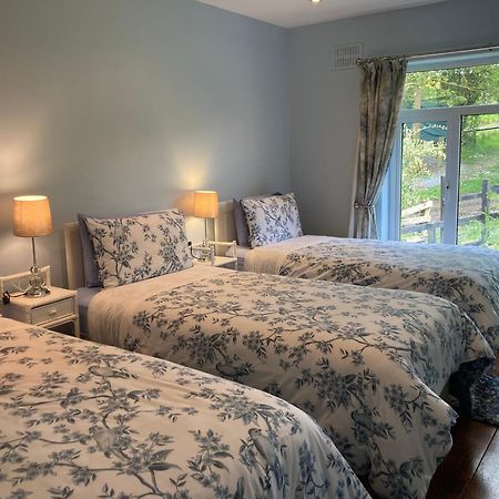 Fitzgerald'S Farmhouse Accommodation V94 Yy47 Абифийл Екстериор снимка